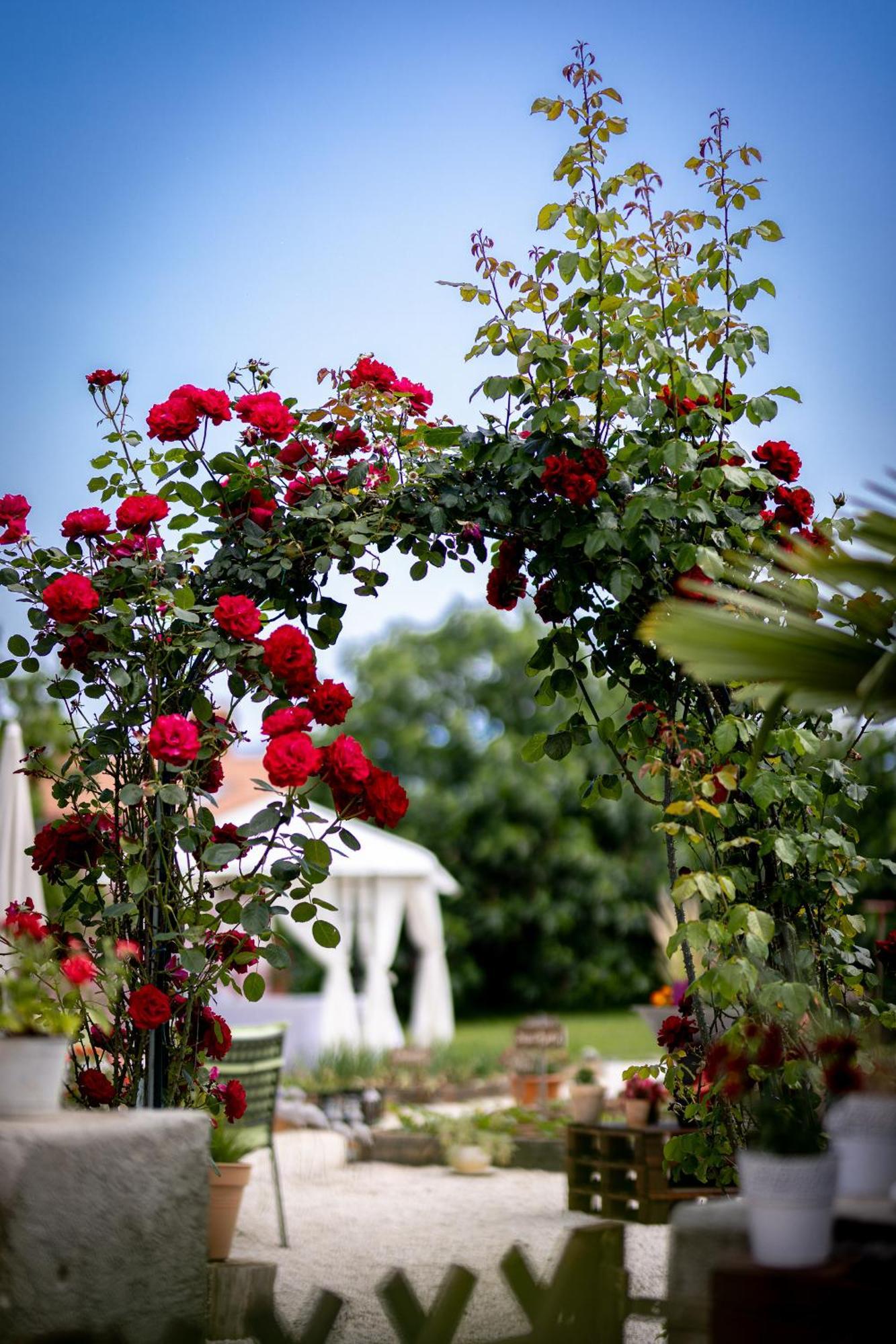 Villa Nada Lovran Buitenkant foto